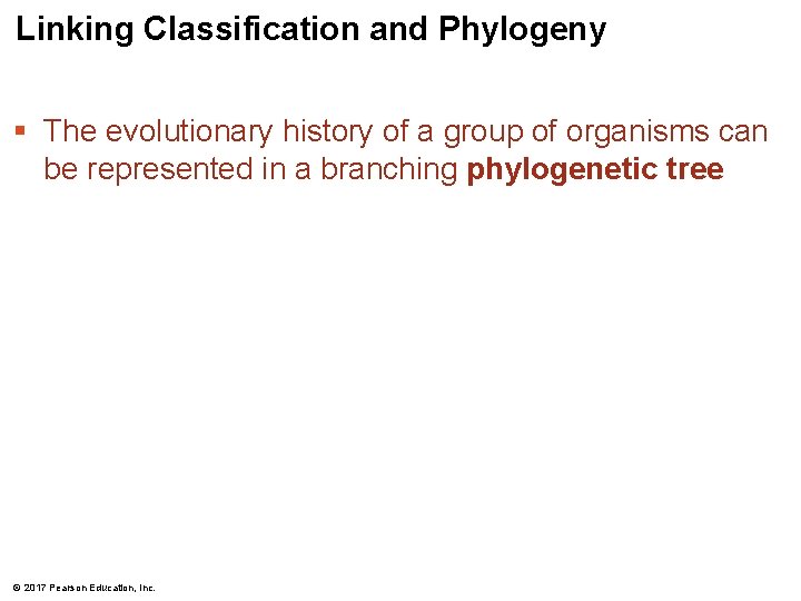 Linking Classification and Phylogeny § The evolutionary history of a group of organisms can Linking Classification and Phylogeny § The evolutionary history of a group of organisms can