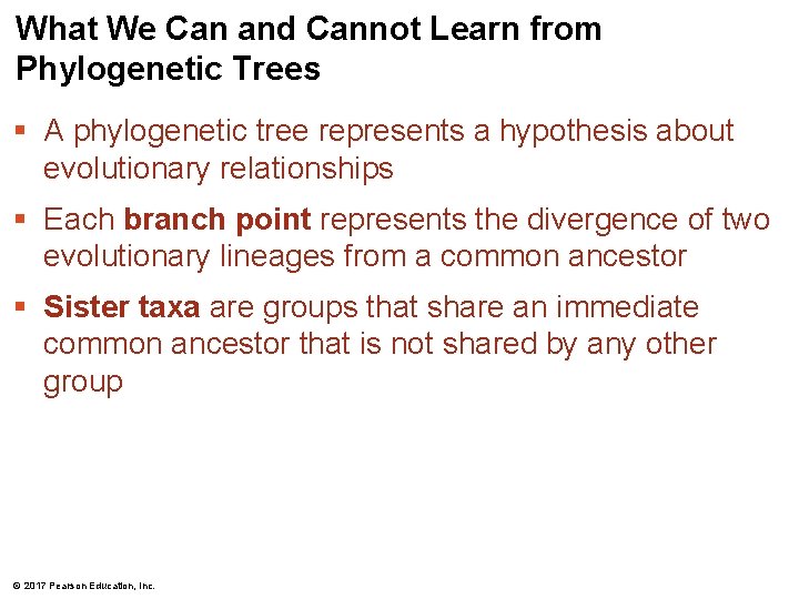 What We Can and Cannot Learn from Phylogenetic Trees § A phylogenetic tree represents What We Can and Cannot Learn from Phylogenetic Trees § A phylogenetic tree represents