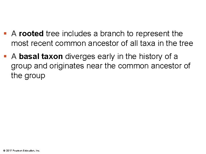 § A rooted tree includes a branch to represent the most recent common ancestor § A rooted tree includes a branch to represent the most recent common ancestor