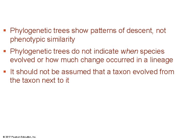 § Phylogenetic trees show patterns of descent, not phenotypic similarity § Phylogenetic trees do § Phylogenetic trees show patterns of descent, not phenotypic similarity § Phylogenetic trees do