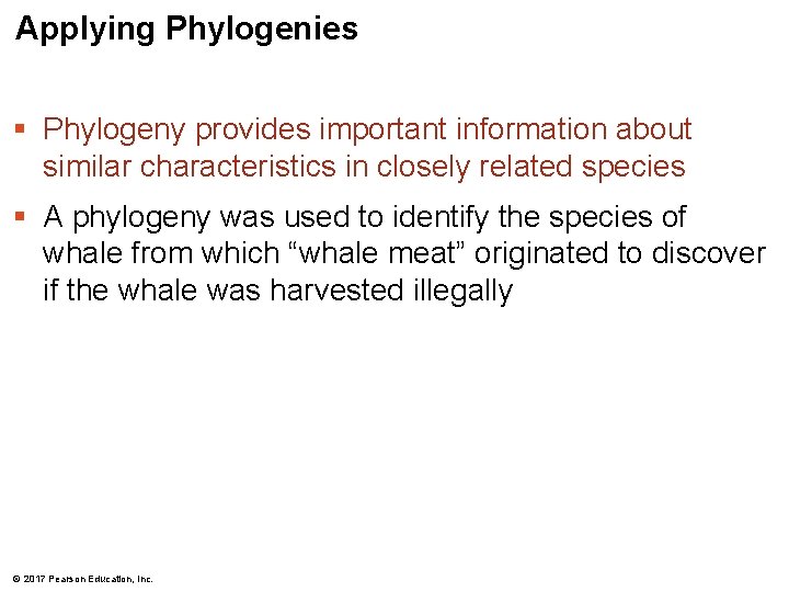 Applying Phylogenies § Phylogeny provides important information about similar characteristics in closely related species Applying Phylogenies § Phylogeny provides important information about similar characteristics in closely related species