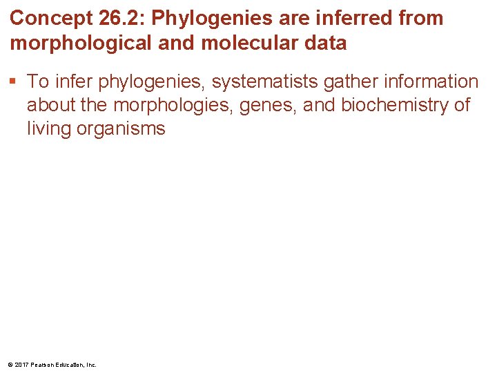 Concept 26. 2: Phylogenies are inferred from morphological and molecular data § To infer Concept 26. 2: Phylogenies are inferred from morphological and molecular data § To infer