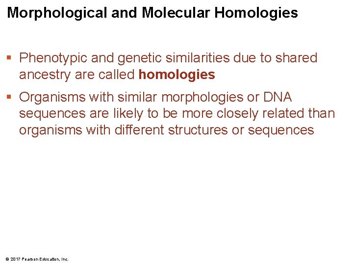 Morphological and Molecular Homologies § Phenotypic and genetic similarities due to shared ancestry are Morphological and Molecular Homologies § Phenotypic and genetic similarities due to shared ancestry are