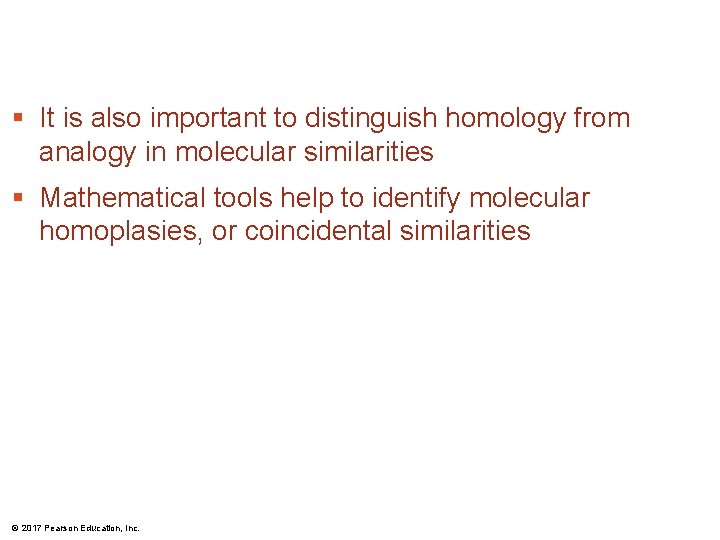§ It is also important to distinguish homology from analogy in molecular similarities § § It is also important to distinguish homology from analogy in molecular similarities §