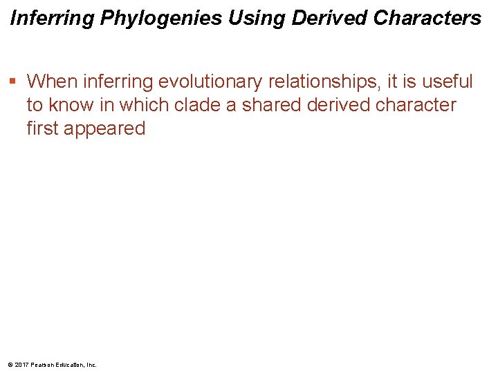 Inferring Phylogenies Using Derived Characters § When inferring evolutionary relationships, it is useful to Inferring Phylogenies Using Derived Characters § When inferring evolutionary relationships, it is useful to