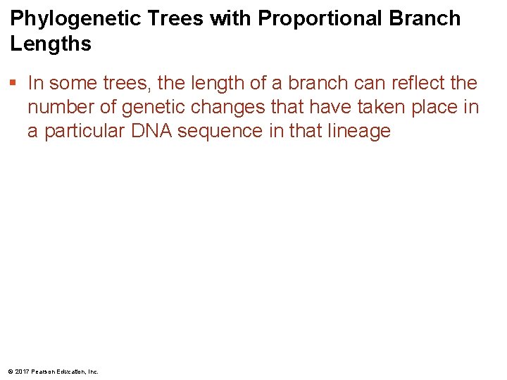 Phylogenetic Trees with Proportional Branch Lengths § In some trees, the length of a Phylogenetic Trees with Proportional Branch Lengths § In some trees, the length of a