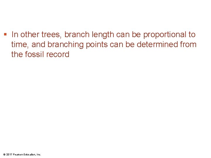§ In other trees, branch length can be proportional to time, and branching points § In other trees, branch length can be proportional to time, and branching points