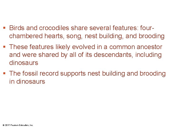 § Birds and crocodiles share several features: fourchambered hearts, song, nest building, and brooding § Birds and crocodiles share several features: fourchambered hearts, song, nest building, and brooding