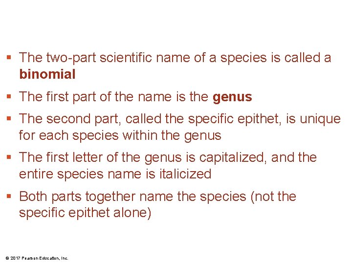 § The two-part scientific name of a species is called a binomial § The § The two-part scientific name of a species is called a binomial § The