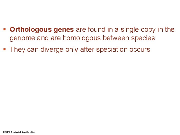 § Orthologous genes are found in a single copy in the genome and are § Orthologous genes are found in a single copy in the genome and are