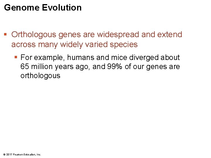 Genome Evolution § Orthologous genes are widespread and extend across many widely varied species Genome Evolution § Orthologous genes are widespread and extend across many widely varied species