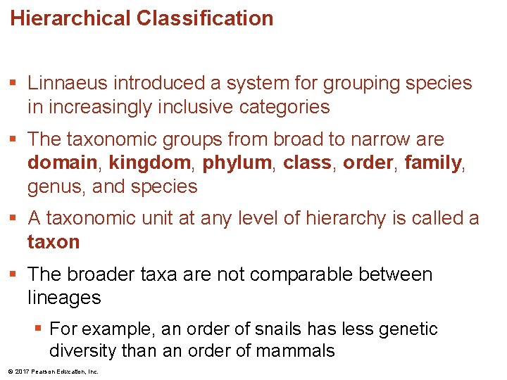 Hierarchical Classification § Linnaeus introduced a system for grouping species in increasingly inclusive categories Hierarchical Classification § Linnaeus introduced a system for grouping species in increasingly inclusive categories