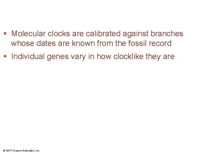 § Molecular clocks are calibrated against branches whose dates are known from the fossil § Molecular clocks are calibrated against branches whose dates are known from the fossil