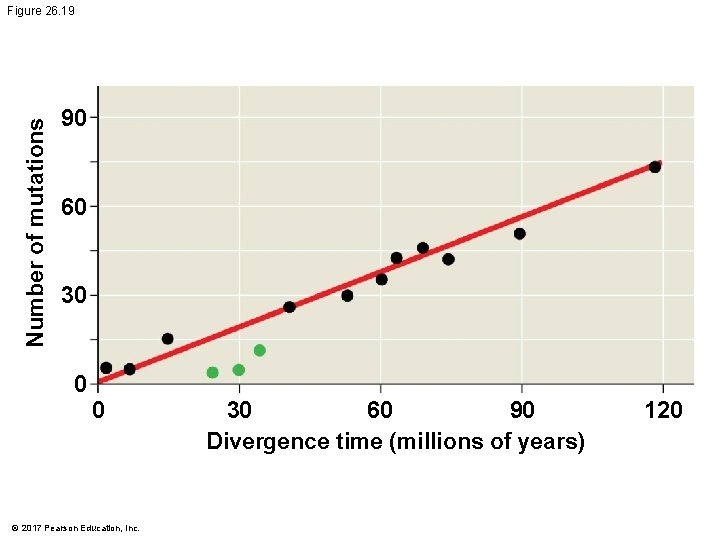 Number of mutations Figure 26. 19 90 60 30 0 0 © 2017 Pearson Number of mutations Figure 26. 19 90 60 30 0 0 © 2017 Pearson
