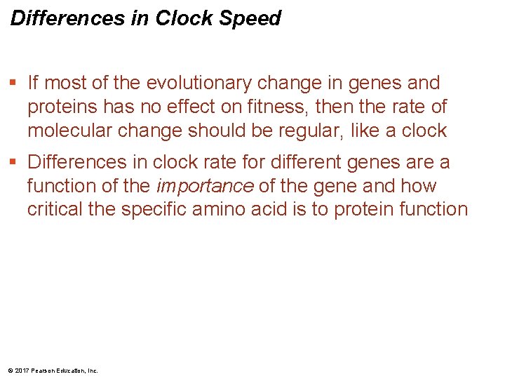 Differences in Clock Speed § If most of the evolutionary change in genes and Differences in Clock Speed § If most of the evolutionary change in genes and