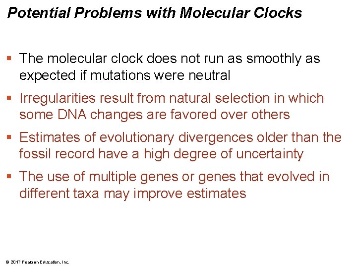 Potential Problems with Molecular Clocks § The molecular clock does not run as smoothly Potential Problems with Molecular Clocks § The molecular clock does not run as smoothly