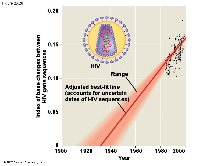 Figure 26. 20 Index of base changes between HIV gene sequences 0. 20 0. Figure 26. 20 Index of base changes between HIV gene sequences 0. 20 0.
