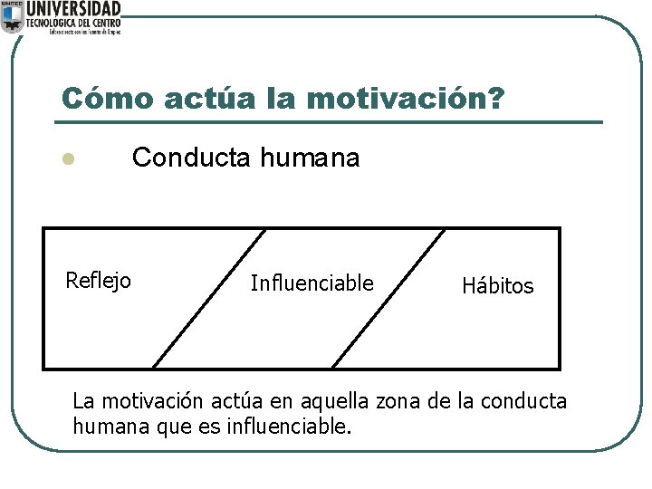 Cómo actúa la motivación? l Reflejo Conducta humana Influenciable Hábitos La motivación actúa en