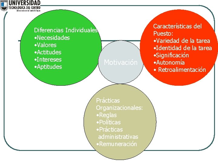 Diferencias Individuales: • Necesidades • Valores • Actitudes • Intereses • Aptitudes Motivación Prácticas