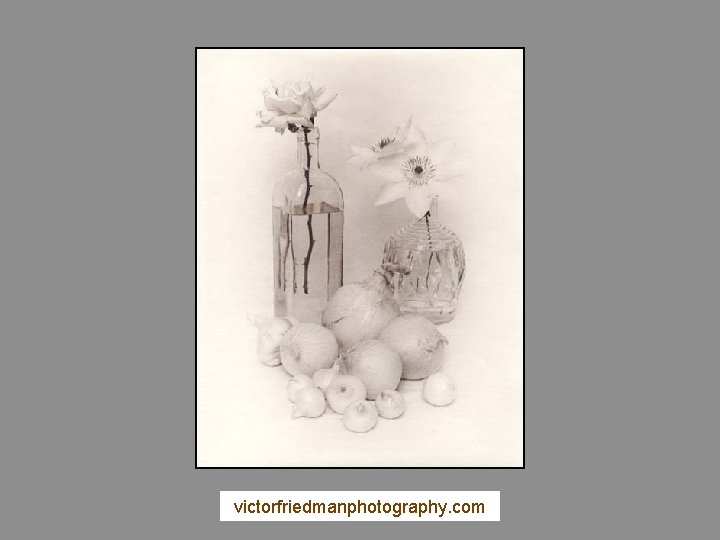victorfriedmanphotography. com 