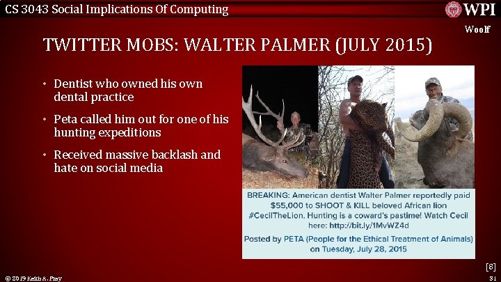 CS 3043 Social Implications Of Computing TWITTER MOBS: WALTER PALMER (JULY 2015) Woolf •