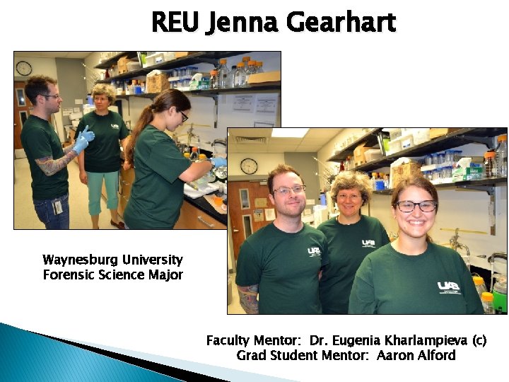 REU Jenna Gearhart Waynesburg University Forensic Science Major Faculty Mentor: Dr. Eugenia Kharlampieva (c)