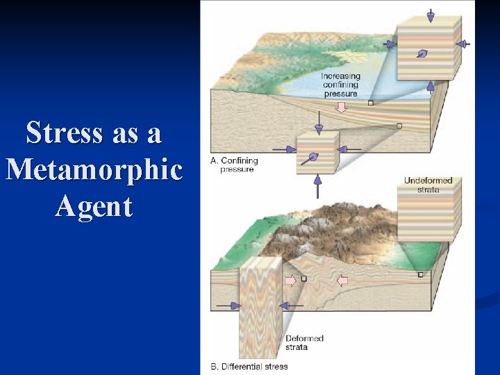 Stress as a Metamorphic Agent 