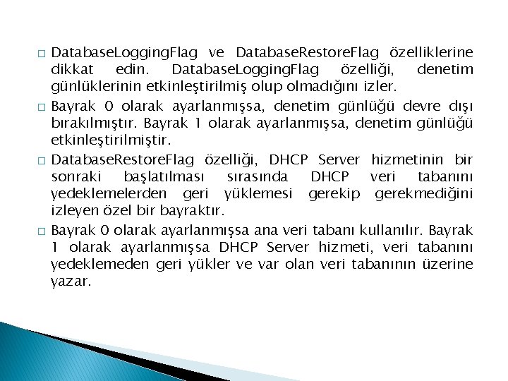 � � Database. Logging. Flag ve Database. Restore. Flag özelliklerine dikkat edin. Database. Logging.