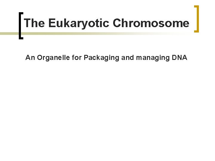 The Eukaryotic Chromosome An Organelle for Packaging and managing DNA 