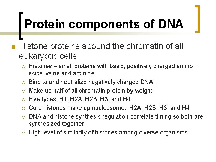 Protein components of DNA n Histone proteins abound the chromatin of all eukaryotic cells