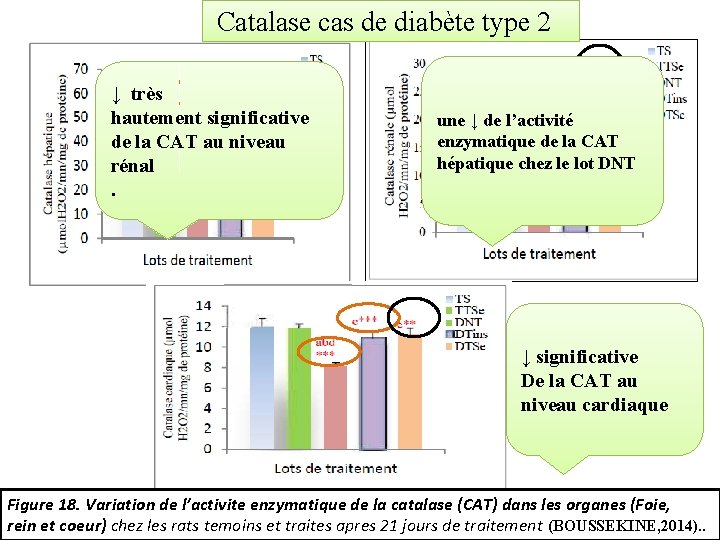  Catalase cas de diabète type 2 ↓ très hautement significative de la CAT