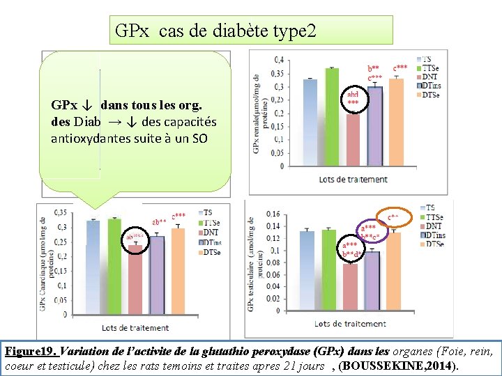 GPx cas de diabète type 2 GPx ↓ dans tous les org. des Diab