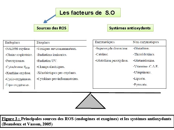 Les facteurs de S. O Sources des ROS Systèmes antioxydants Figure 3 : Principales