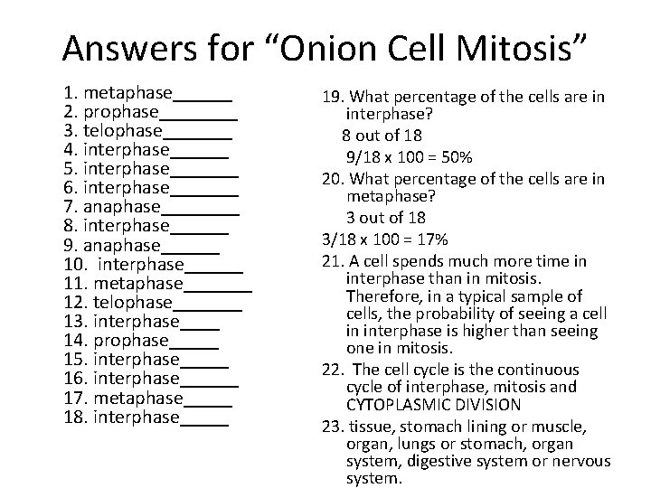 Answers for “Onion Cell Mitosis” 1. metaphase______ 2. prophase____ 3. telophase_______ 4. interphase______ 5.