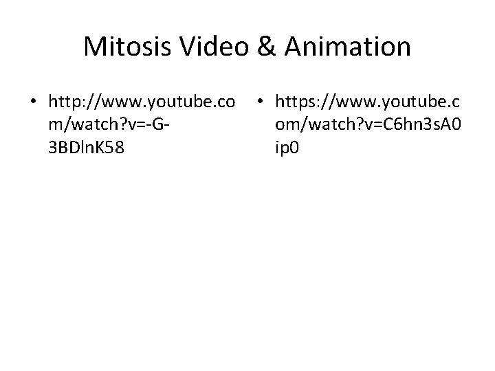 Mitosis Video & Animation • http: //www. youtube. co m/watch? v=-G 3 BDln. K