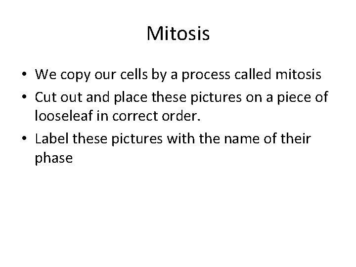 Mitosis • We copy our cells by a process called mitosis • Cut out