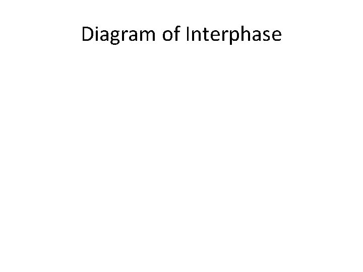 Diagram of Interphase 