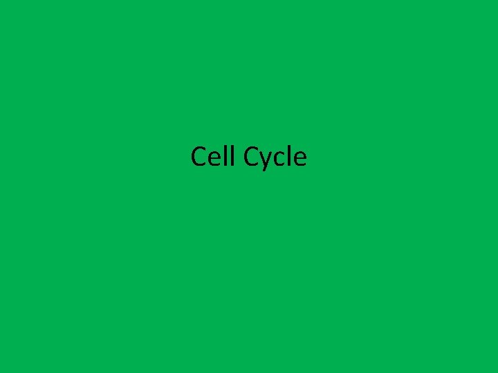 Cell Cycle 