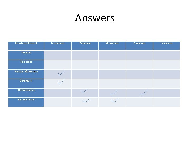 Answers Structures Present Nucleus Interphase Prophase Telophase Nuclear Membrane Chromatin Chromosomes Spindle fibres .