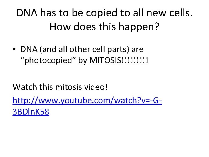 DNA has to be copied to all new cells. How does this happen? •