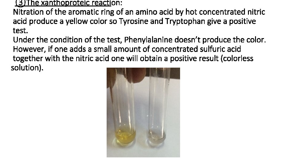 ③The xanthoproteic reaction: Nitration of the aromatic ring of an amino acid by hot