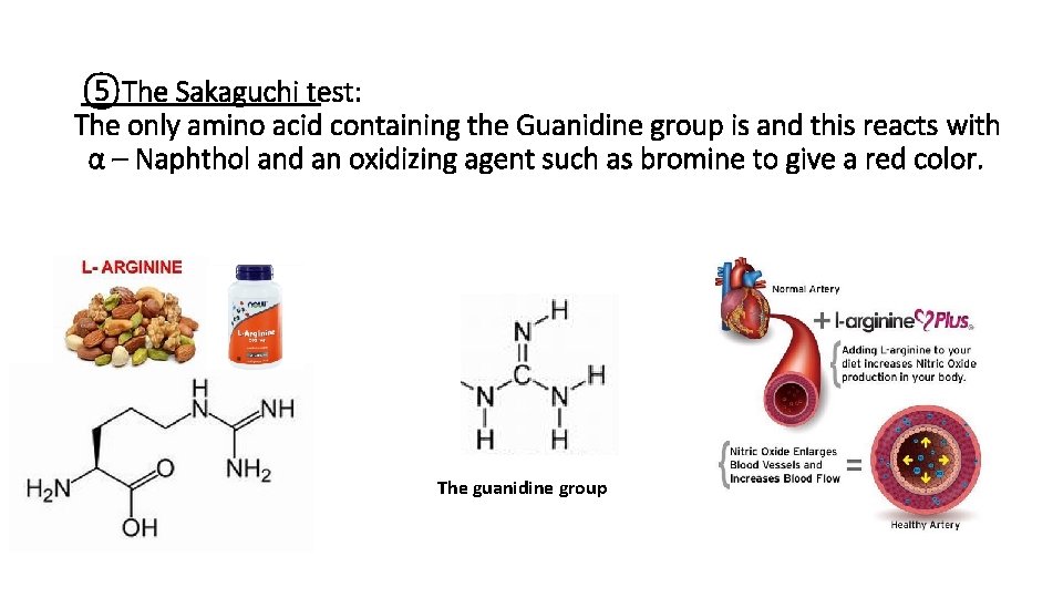 ⑤The Sakaguchi test: The only amino acid containing the Guanidine group is and this