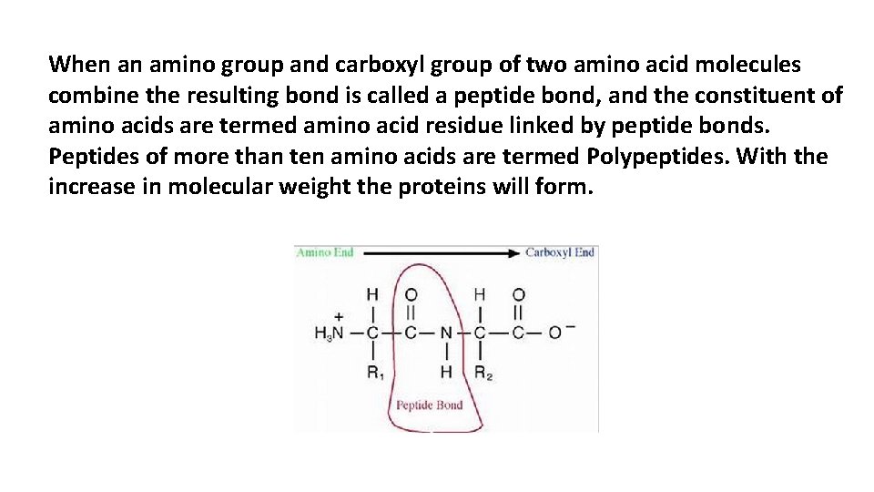When an amino group and carboxyl group of two amino acid molecules combine the