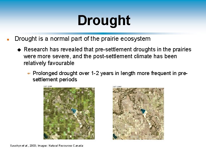 Drought n Drought is a normal part of the prairie ecosystem u Research has