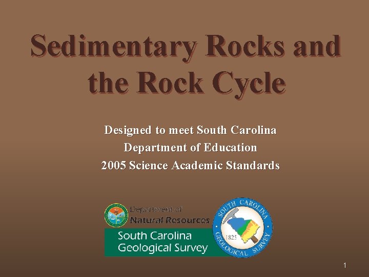 Sedimentary Rocks and the Rock Cycle Designed to meet South Carolina Department of Education