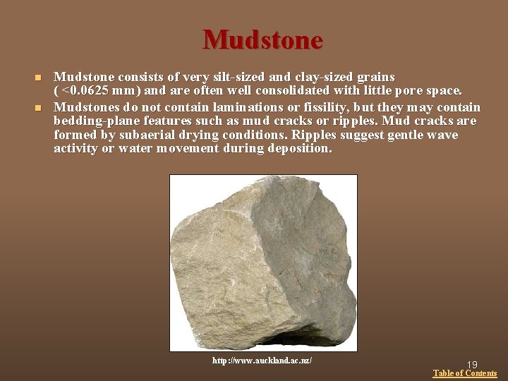 Mudstone n n Mudstone consists of very silt-sized and clay-sized grains ( <0. 0625