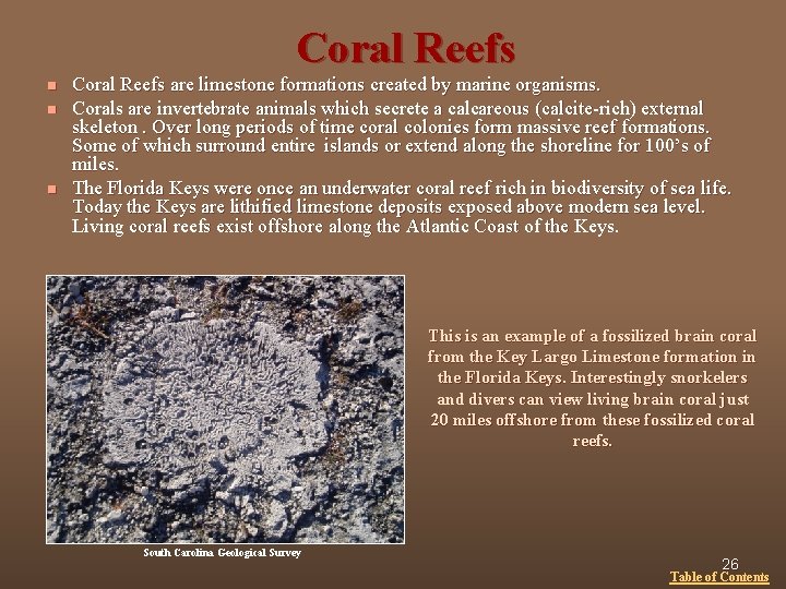 Coral Reefs n n n Coral Reefs are limestone formations created by marine organisms.