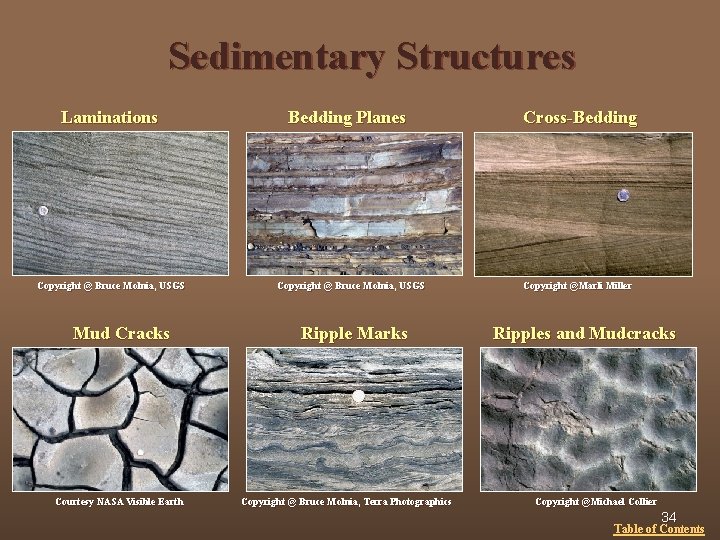Sedimentary Structures Laminations n , SCGS Copyright @ Bruce Molnia, USGS Mud Cracks Courtesy