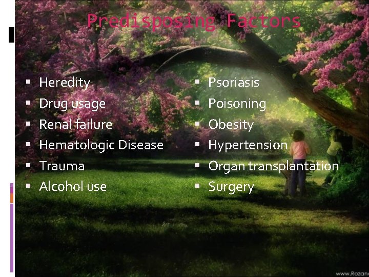 Predisposing Factors Heredity Drug usage Renal failure Hematologic Disease Trauma Alcohol use Psoriasis Poisoning