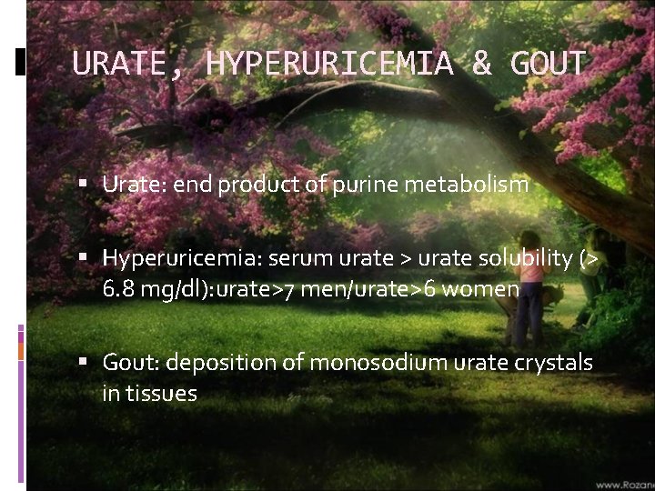 URATE, HYPERURICEMIA & GOUT Urate: end product of purine metabolism Hyperuricemia: serum urate >